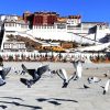 cung điện polata xinh đẹp trong tour tây tạng