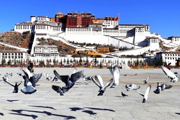 cung điện polata xinh đẹp trong tour tây tạng