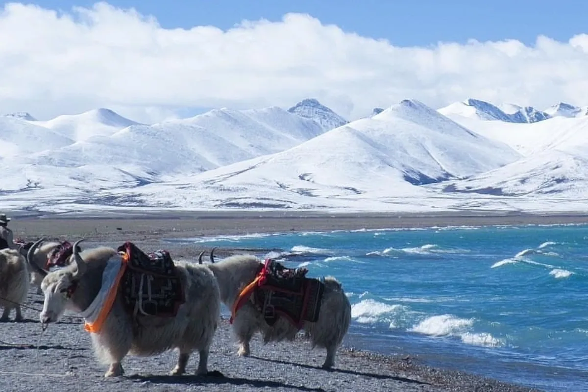 Du lịch Tây Tạng tháng 1